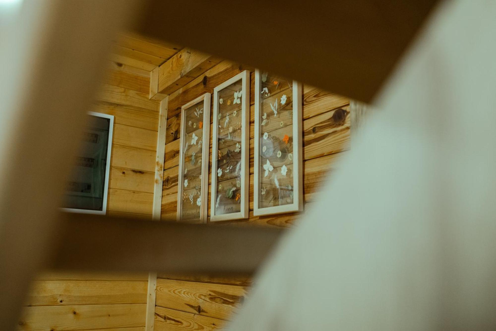 Planinska Kuca Zaliv Villa Zaovine Dış mekan fotoğraf